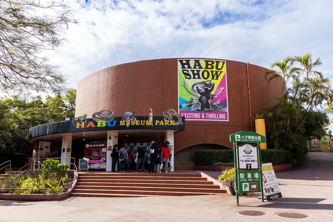The Habu Museum Park has exhibits on different species of lizards and other animals found in Okinawa.