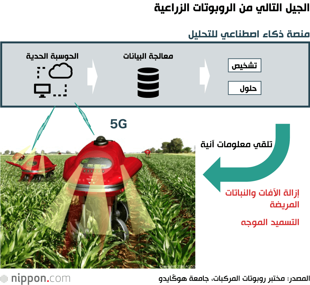 كيف تُحدث الزراعة الذكية نقلة نوعية في الزراعة اليابانية؟