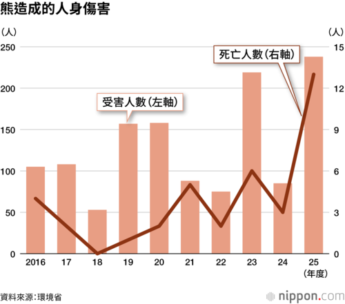 熊造成的人身傷害