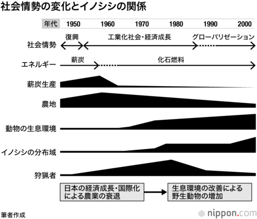 戦後のエネルギー革命や耕作放棄によって生息適地が作り出され、イノシシの分布域が急速に回復した