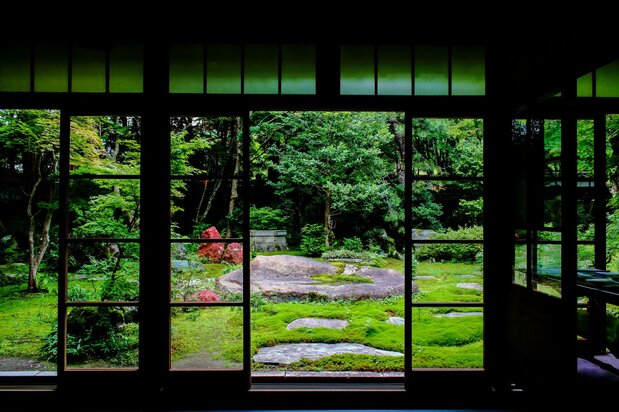 中野邸美術館(新潟県)の日本庭園を彩るコケ。コケを利用する庭園文化は日本特有だ(筆者撮影)