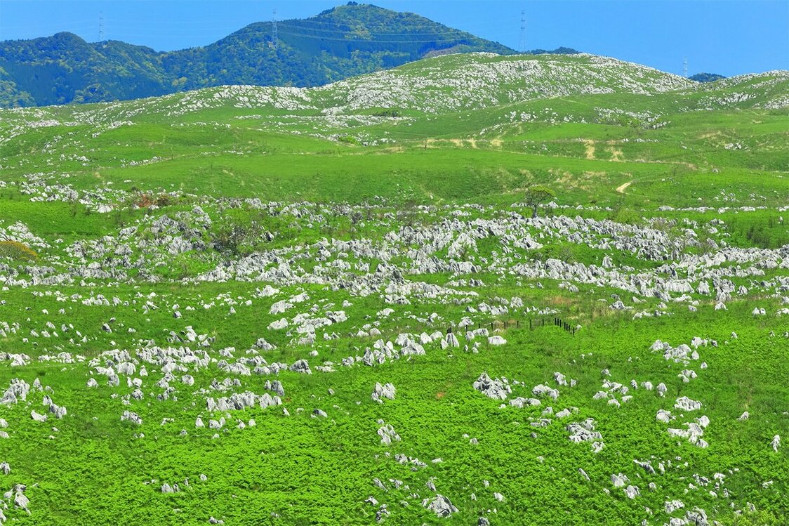 Le karst d’Akiyoshidai (Pixta)