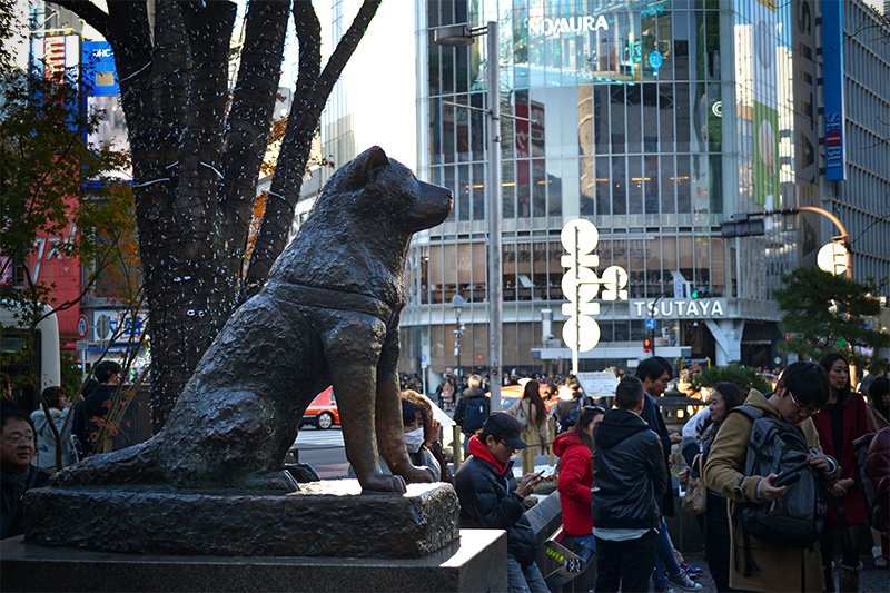 Five Tokyo Centers