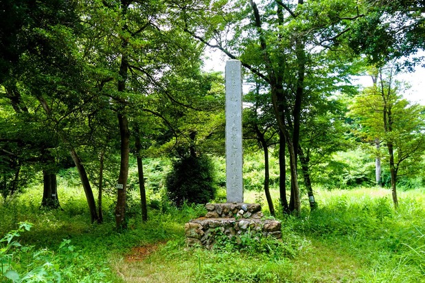 重忠の居所、菅谷館があったと思われる跡地(埼玉県嵐山町)=筆者撮影
