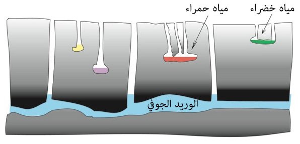 يتجاوز الاختلافات في الخبرة وطباع كل شخص من الأشخاص.