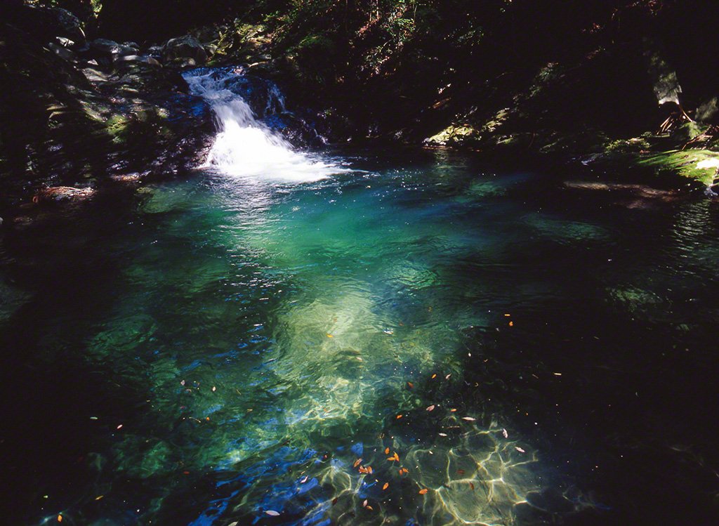 Tenryûgawa, photographiée dans la préfecture de Nagano