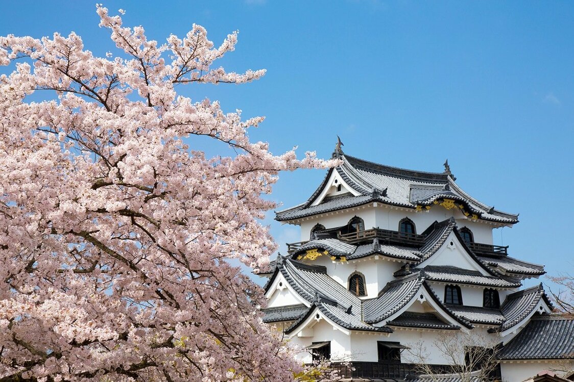 Le château de Hikone est l’un des douze seuls du Japon à avoir préservé son donjon d’origine. (Pixta)