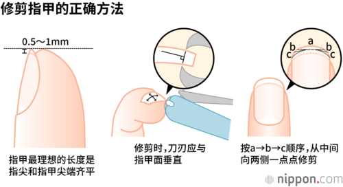 修剪指甲的正确方法