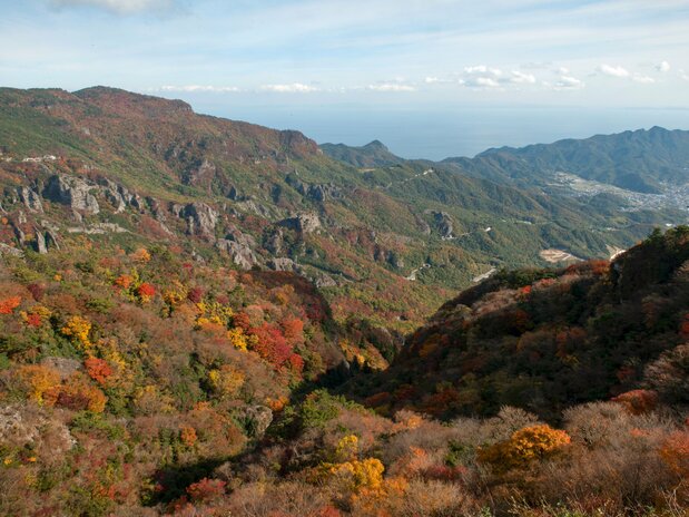 从四望指放眼望去，宏伟的群山，树树皆秋色