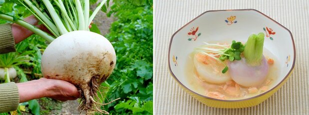 Сёгоин кабу (слева), кабура-муси (варёная репа) (© Pixta)