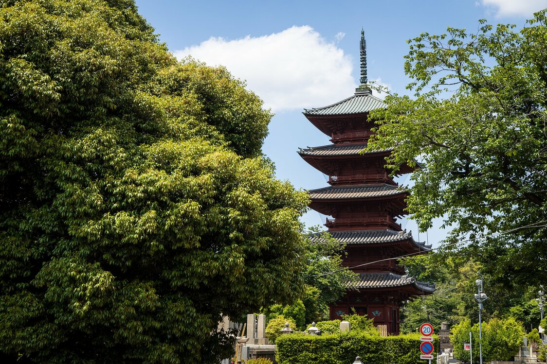 秀忠の乳母・岡部局（おかべのつぼね）の発願によって建立された五重塔