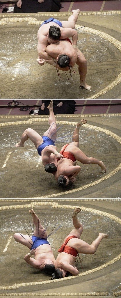 2021年秋場所9日目 豊昇龍・若隆景戦  共同