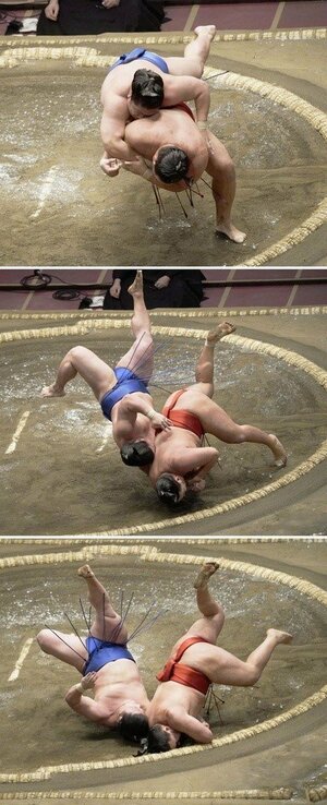 2021年秋場所9日目 豊昇龍・若隆景戦 共同