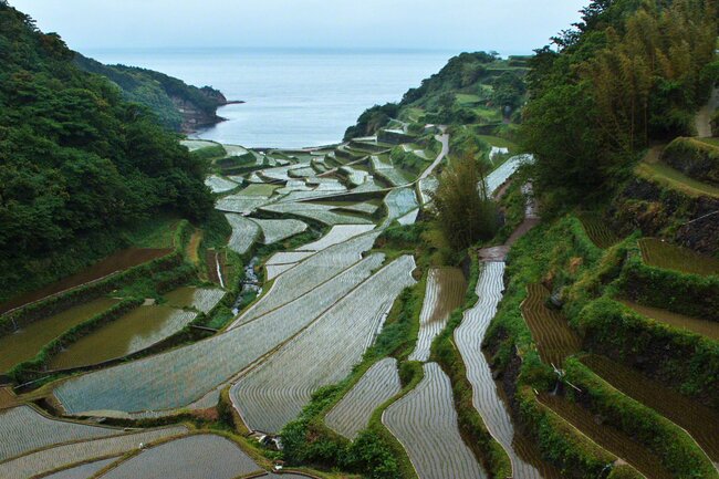 佐賀縣玄海町　5月