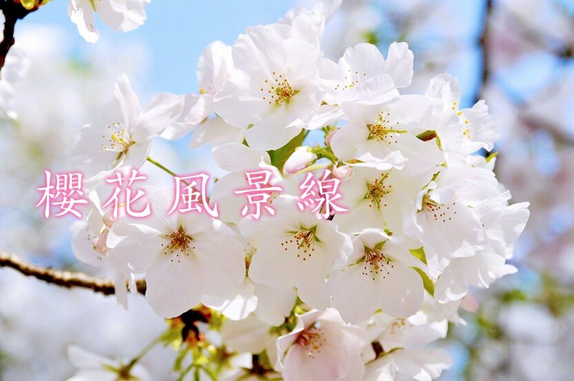 廣島縣廿日市市宮島町