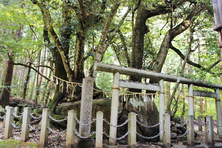 真名井神社内の磐座（撮影：林 亦峰）