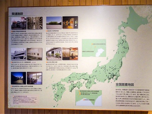牧野富太郎的採集足跡遍及全日本（筆者攝影）