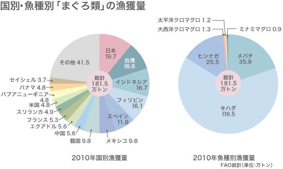 危機に瀕する太平洋クロマグロ