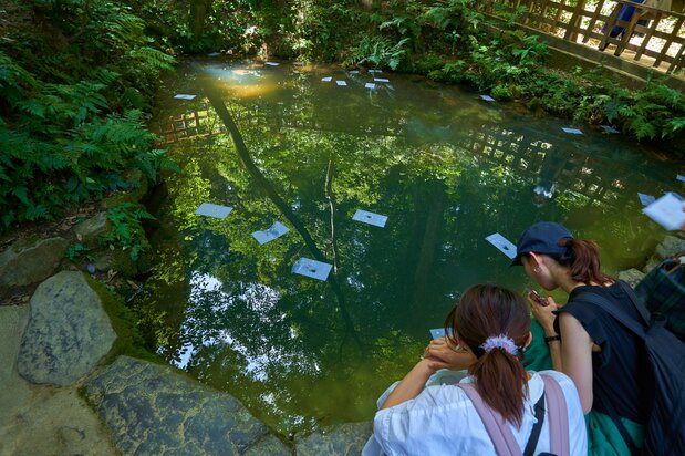 Kagami-ike, or Mirror Pond, at Yaegaki Shrine. (© Pixta)