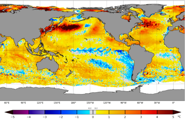 A map from the website of the US National Oceanic and Atmospheric Administration shows global sea surface temperatures in mid-September 2024. Areas colored in yellow, red, and black indicate, in ascending order, where temperatures are above normal. (© NOAA)