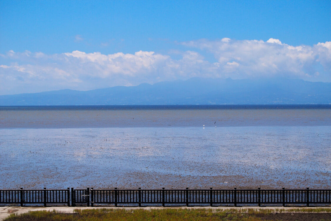 Les vasières de la mer d’Ariake s’étendent à perte de vue et constituent 40% des zones humides de marée du Japon.