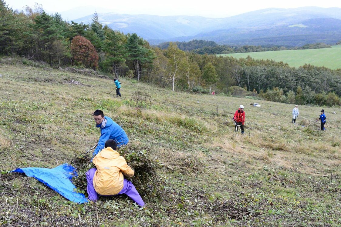 里山の草原を復元するために草を刈って運び出す