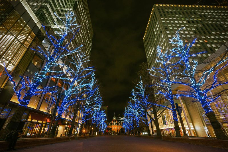 La iluminación blanca de Sapporo: el romanticismo de la ciudad invernal