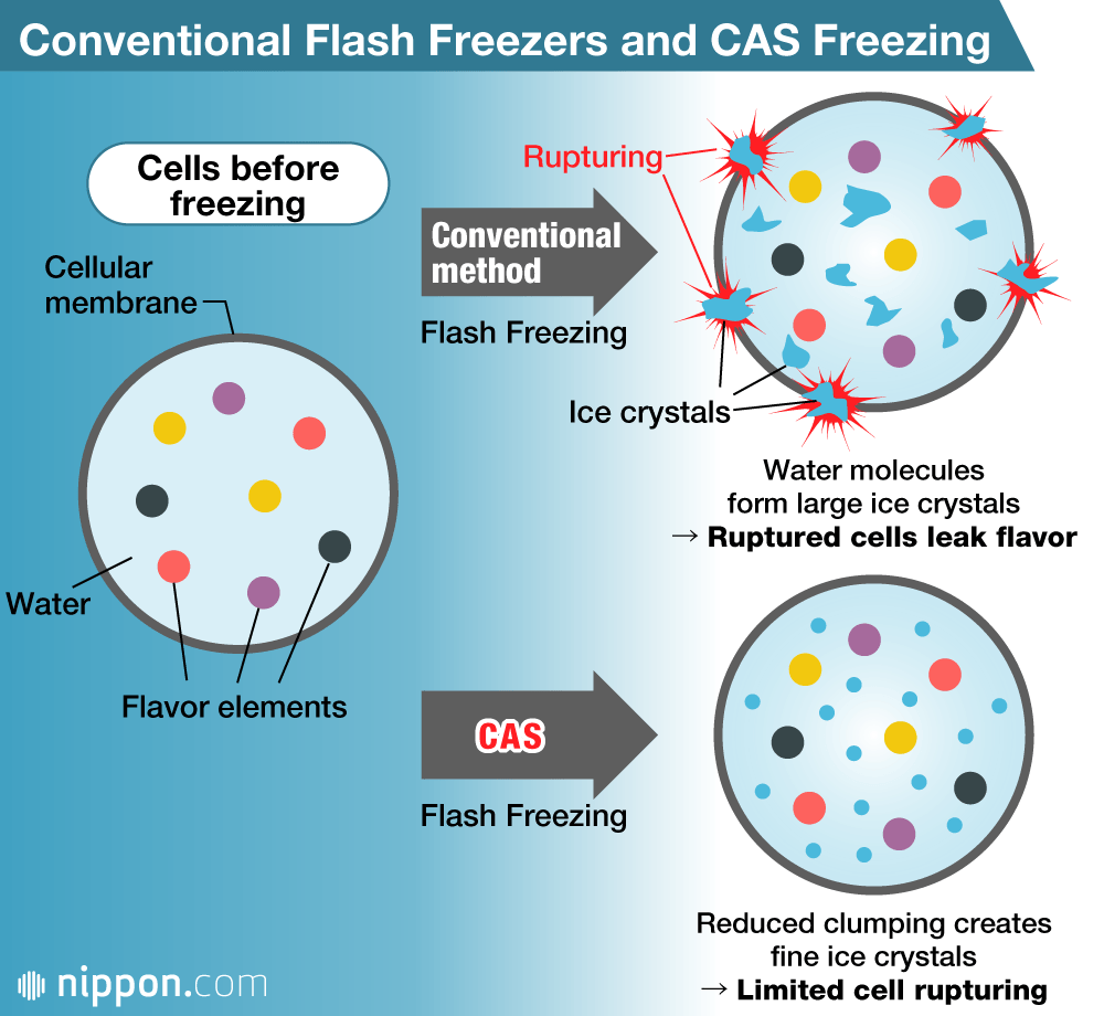 Freezing to Save Flavor . . . and Life on Earth? A Look at Abi’s CAS Technology