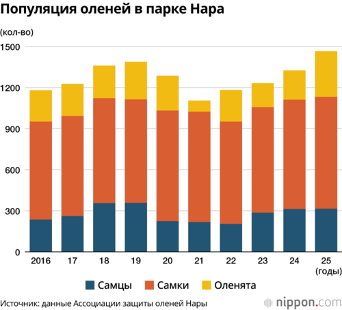 Популяция оленей в парке Нара