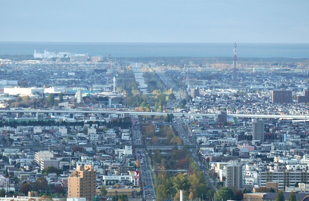 左右に走る高速道路より海側は緑も少なく、高い建物もほとんどない。ランナーにとっては「単調」さも試練。（撮影 : 前田明裕）