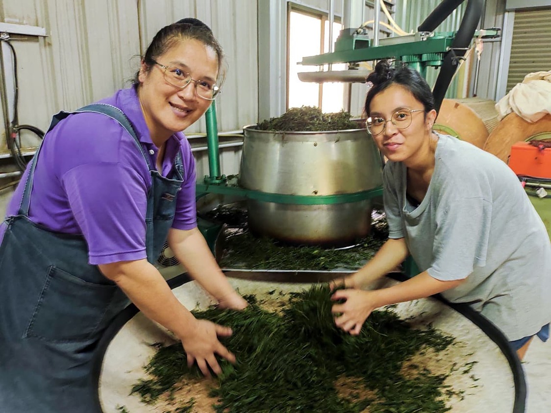 進行揉捻作業的茶農家族。阿里山鄉的原住民鄒族部落。