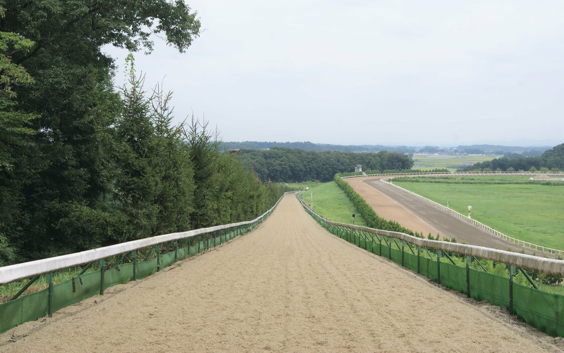 ノーザンファーム天栄の坂路コース。アーモンドアイもここでトレーニングを積んだ photo/Northern Farm