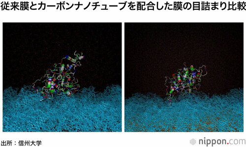 左の従来膜（青い部分）にはタンパク質がからみつくようにこびりついているが、右の信州大学膜は弱く付着しているので水流で汚れが剥がれやすい（画像提供：信州大学）