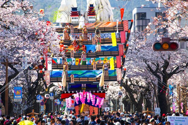路两旁的樱花树形成“樱花隧道”,巨型彩车的顶部已经穿出“隧道”上方