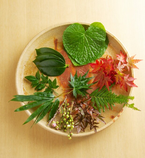 上勝町では葉っぱ・花物・山菜など300種類以上を生産