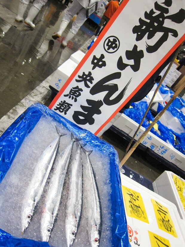 小さなのぼりが立つだけの豊洲市場の初サンマだが、関係者の期待は大きい 写真:筆者提供