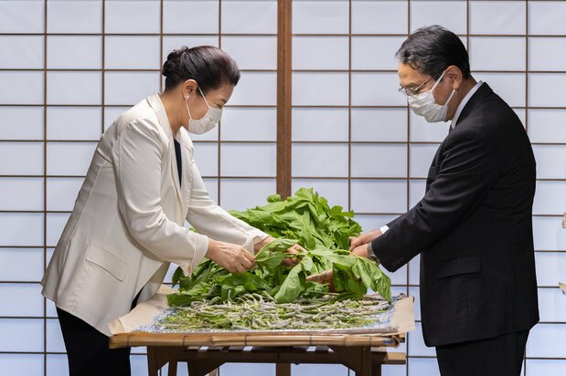 Empress Masako feeding silkworms in May 2021. (Courtesy the Imperial Household Agency)