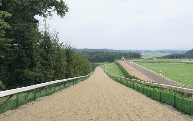 ノーザンファーム天栄の坂路コース。アーモンドアイもここでトレーニングを積んだ photo/Northern Farm