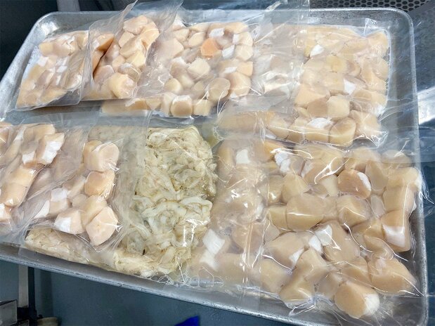 The first trial batch of Japanese scallops processed in Ensenada in February 2024. (Courtesy JETRO)